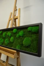 DIY Moss Picture Kit – Mix of Bun Moss and Flat Moss - Image 8
