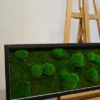 Rectangular moss wall art with green ball and flat moss in a black frame, resting on a wooden artist easel