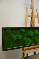 DIY Moss Picture Kit – Mix of Bun Moss and Flat Moss - Image 9