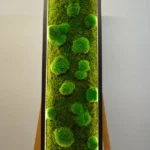 LED Moss Picture – Mix of Ball Moss & Flat Moss - Image 3