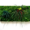 Rectangular preserved moss wall art with mixed botanicals and foliage in a slim frame