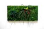 Moss Wall Art with Plants