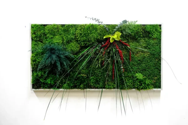 Rectangular preserved moss wall art with mixed botanicals and foliage in a slim frame