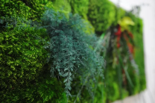Moss Wall Art with Plants - Image 2