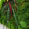 Side view detail of red preserved botanicals, eucalyptus leaves, and grass fronds on textured moss