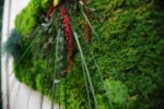 Moss Wall Art with Plants - Image 3