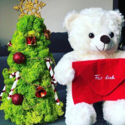 Christmas Tree with Iceland Moss, Decorations and Star