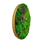 Round Moss Picture with Wood - Image 3