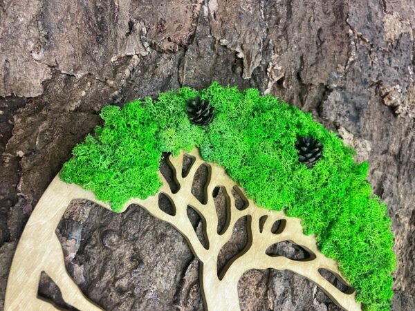 Moss Tree with Iceland Moss. Tree of Life - Image 4