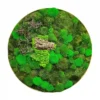 Round preserved moss wall art with wood accents and branches in a circular frame