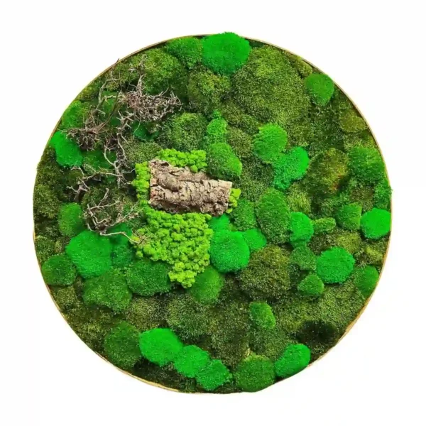 Round preserved moss wall art with wood accents and branches in a circular frame