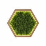 Hexagon LED Wall Art Made of Iceland Moss - Image 5
