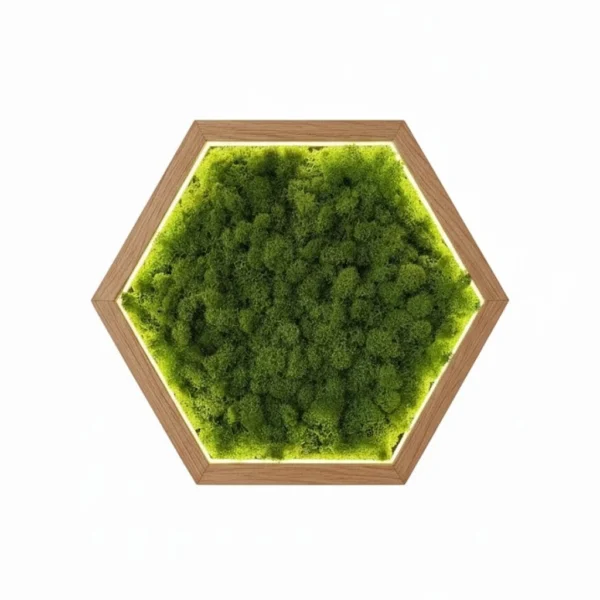 Hexagon LED Wall Art Made of Iceland Moss - Image 5