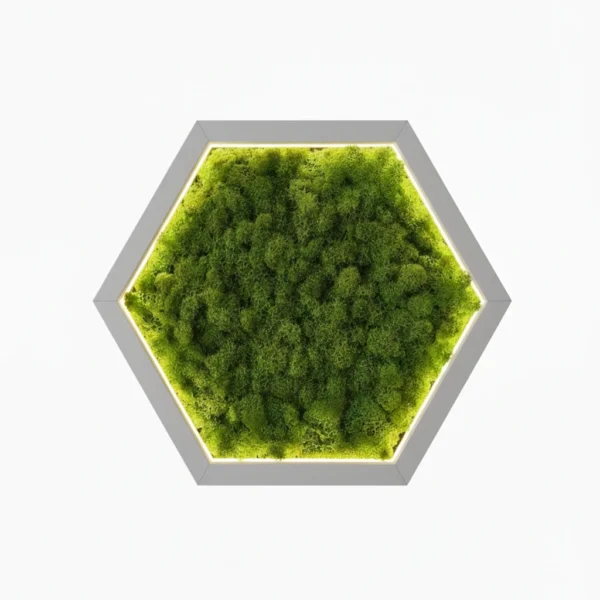 Hexagon LED Wall Art Made of Iceland Moss - Image 4