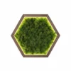 Hexagon backlit LED moss wall art with preserved moss and wooden frame
