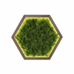 Hexagon LED Wall Art Made of Iceland Moss