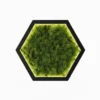 Hexagon wall art with preserved green reindeer moss and inner LED backlight in a black frame