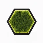 Hexagon LED Wall Art Made of Iceland Moss - Image 3