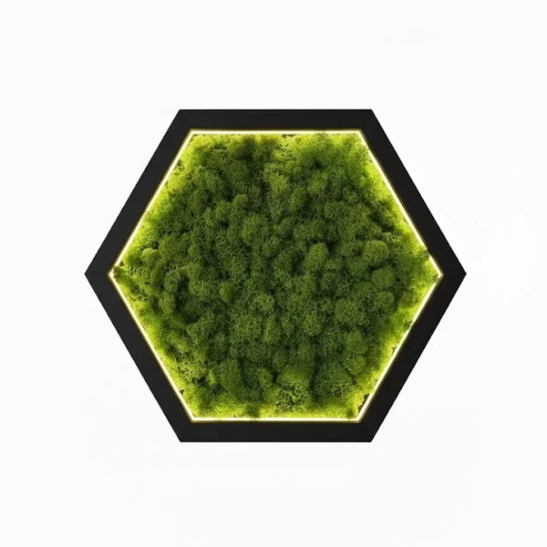 Hexagon LED Wall Art Made of Iceland Moss - Image 3