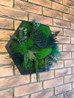 Live Hexagon Moss Picture – Unique Plant Arrangement - Image 10