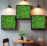 Kugel Moss Wall Art – Ball Moss 3-Piece Set