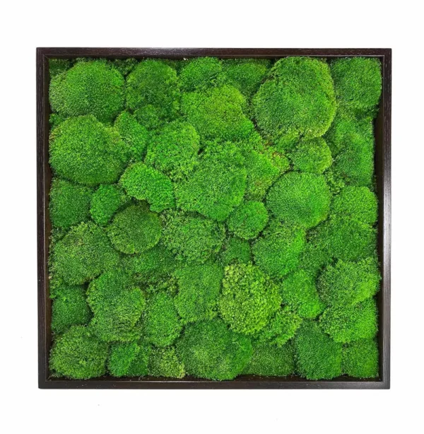 Kugel Moss Wall Art – Ball Moss 3-Piece Set - Image 4