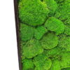 Close-up of textured green preserved ball moss inside a dark wooden frame corner