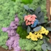 Close-up of moss wall art showing pink and yellow preserved blooms, eucalyptus leaves, and lavender moss