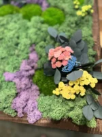 Moss Art “Flower Symphony” with Reindeer Moss and Cushion Moss - Image 2