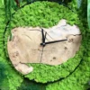 Round wall clock with natural wood slice dial and green preserved moss on a mossy background
