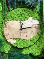 Round Wall Clock with Moss Solid Wood and Plants | Picture Clock - Image 3