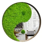 Moss Mirror Yin-Yang with Reindeer Moss and Ball Moss