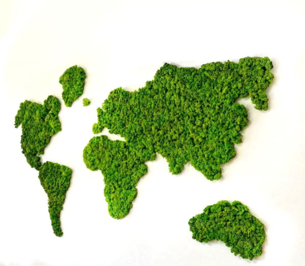 Iceland Moss World Map – Mainland - Image 2