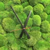 Black clock hands with a red second hand set against a textured green ball moss clock face