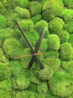 Round Clock with Ball Moss - Image 5