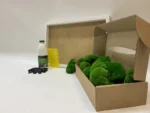 DIY Moss Picture Kit – Ball Moss - Image 10