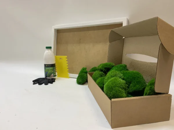 DIY Moss Picture Kit – Ball Moss - Image 10