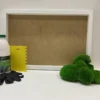 DIY moss frame kit featuring vibrant green ball moss mounds, adhesive bottle, yellow scraper tool, and black gloves.