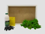 DIY Moss Picture Kit – Reindeer Moss