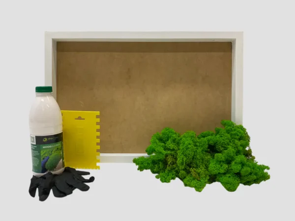 DIY moss wall art kit with picture frame, preserved moss, adhesive bottle, spreader, and gloves