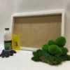 DIY moss kit with white wooden frame, vibrant green ball and flat moss, adhesive bottle, scraper, and gloves.