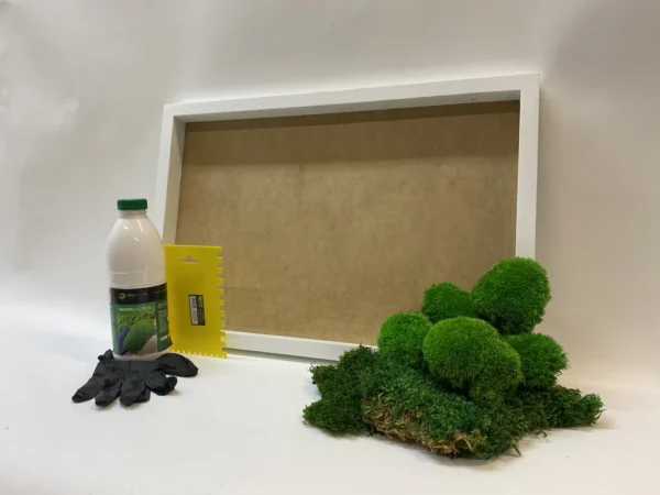 DIY Moss Picture Kit – Mix of Bun Moss and Flat Moss - Image 3