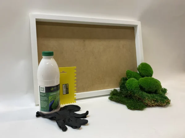 DIY Moss Picture Kit – Mix of Bun Moss and Flat Moss - Image 4