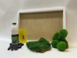 DIY Moss Picture Kit – Mix of Bun Moss and Flat Moss - Image 5