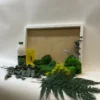 DIY moss art kit featuring white frame, glue bottle, yellow scraper, assorted preserved moss, and fern fronds
