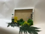 DIY Jungle Moss Picture Set - Image 6