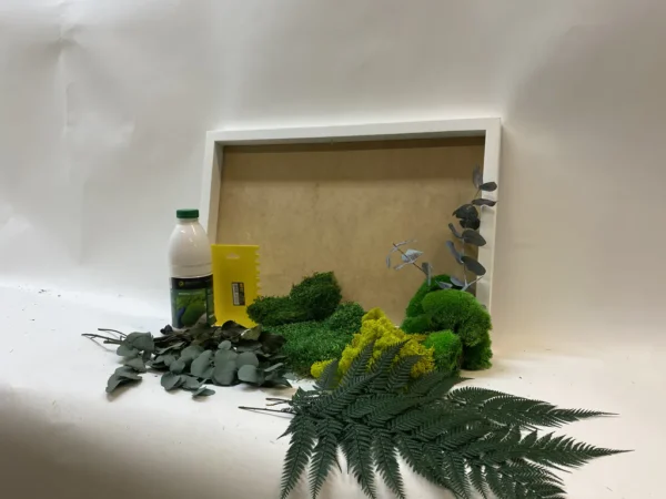 DIY Jungle Moss Picture Set - Image 6