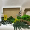 DIY moss wall art kit with white frame, glue bottle, spreader, preserved mosses in box, and fern leaves