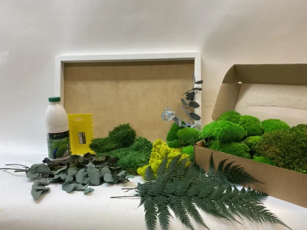 DIY Jungle Moss Picture Set - Image 5