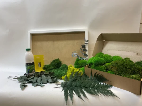 DIY Jungle Moss Picture Set - Image 4